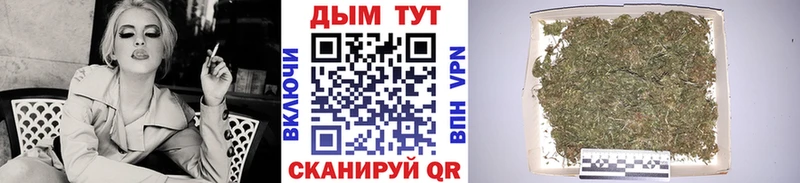 Шишки марихуана AK-47  Купить где  Ельня 